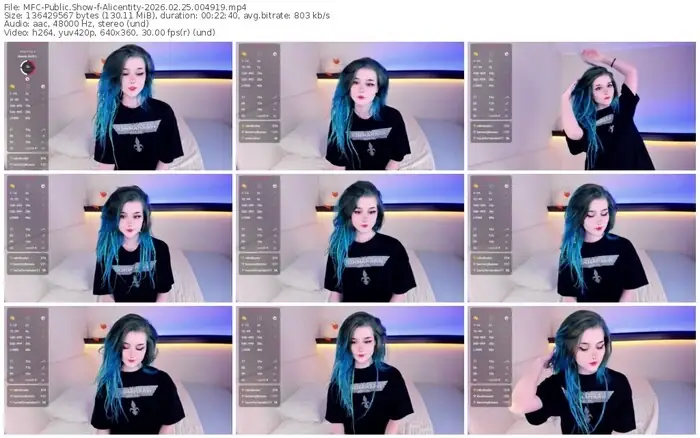 2026/02/25/mfc-alicentity-00-49-19