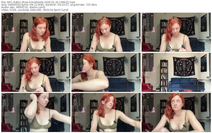 2026/02/25/mfc-ariafields-19-46-22