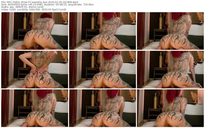 2026/02/25/mfc-casandra_bus-23-18-08