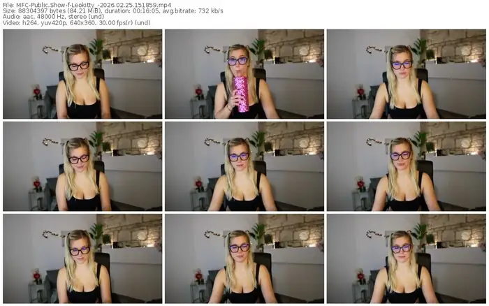 2026/02/25/mfc-leokitty_-15-18-59