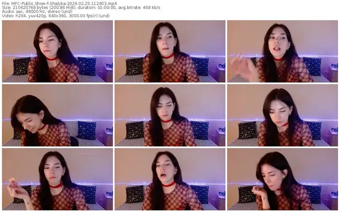 2026/02/25/mfc-shalyka-11-24-03