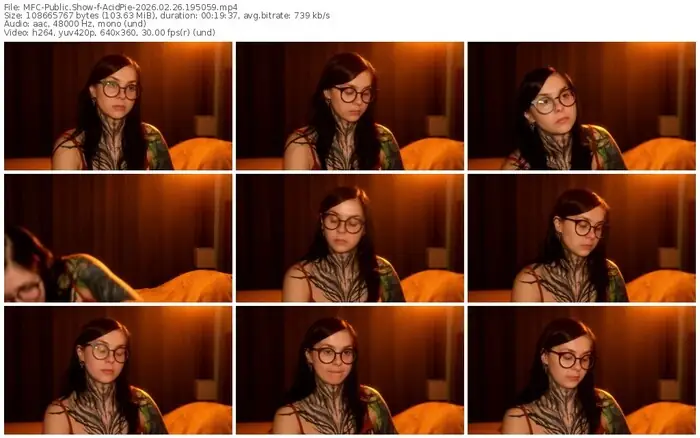 2026/02/26/mfc-acidpie-19-50-59