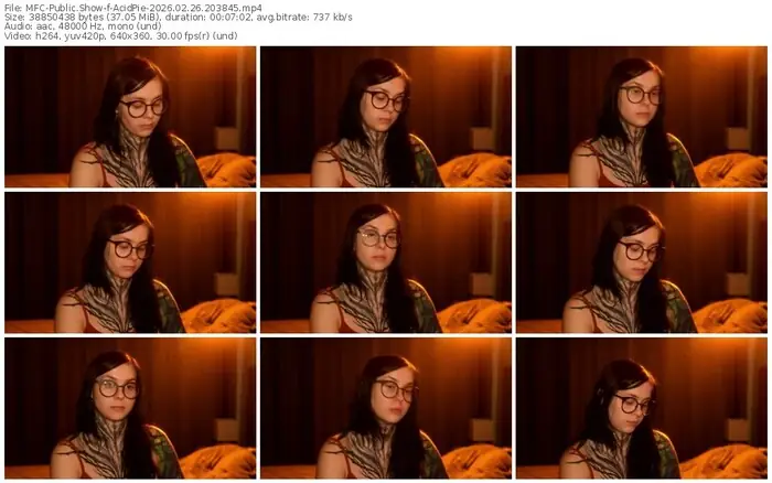 2026/02/26/mfc-acidpie-20-38-45