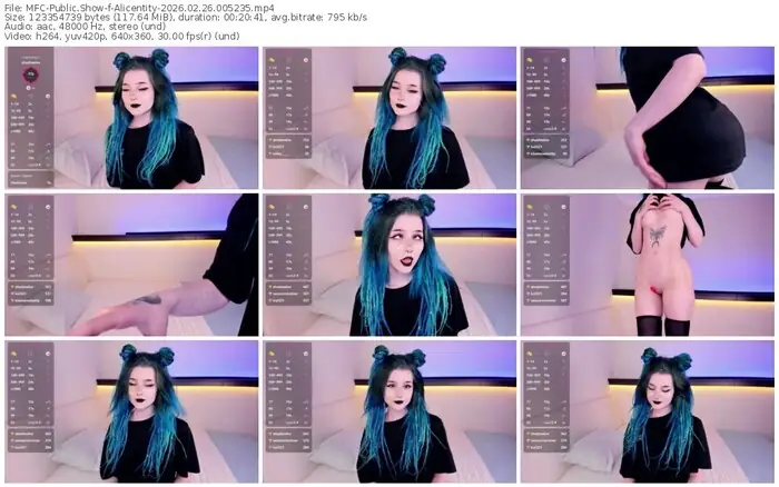 2026/02/26/mfc-alicentity-00-52-35