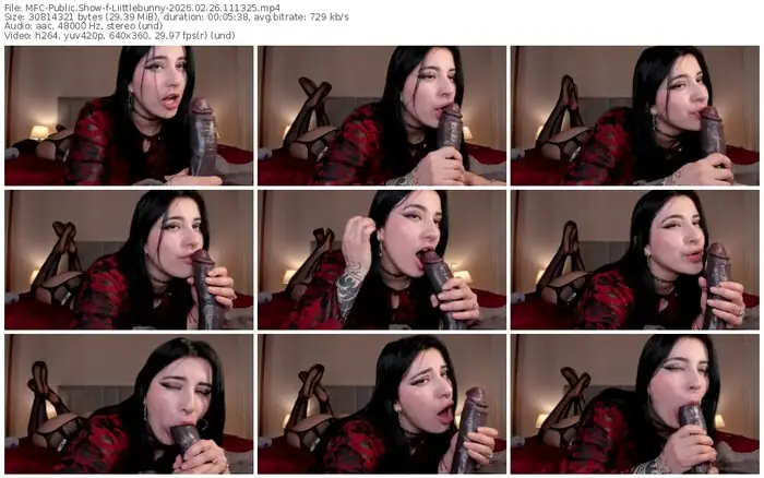 2026/02/26/mfc-liittlebunny-11-13-25