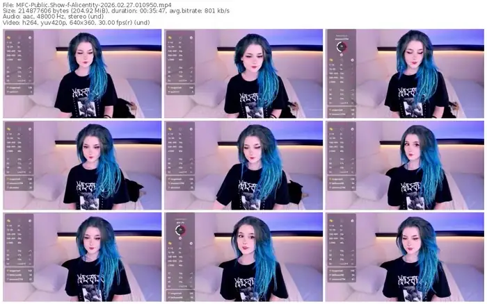 2026/02/27/mfc-alicentity-01-09-50