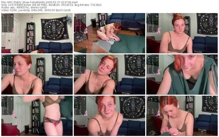 2026/02/27/mfc-ariafields-01-37-34