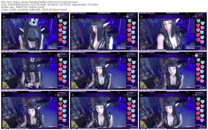 2026/02/27/mfc-wildwyliepm-02-32-34