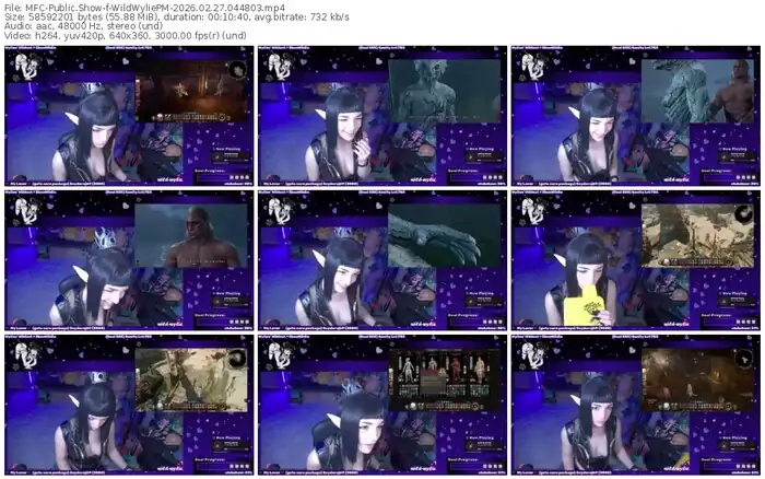 2026/02/27/mfc-wildwyliepm-04-48-03