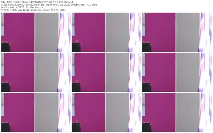 2026/02/28/mfc-erinon-11-58-00