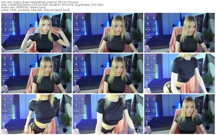 2026/02/28/mfc-nekowhite-15-17-05