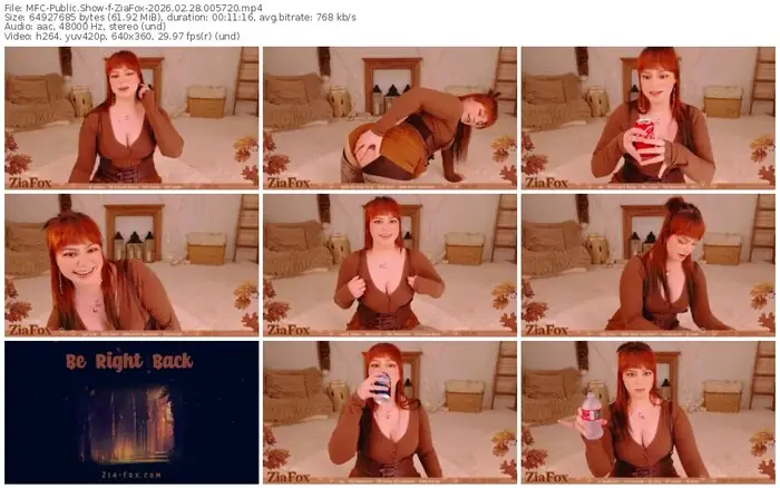 2026/02/28/mfc-ziafox-00-57-20