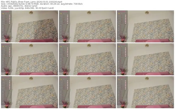 2026/03/01/mfc-iam_lorry-10-01-06