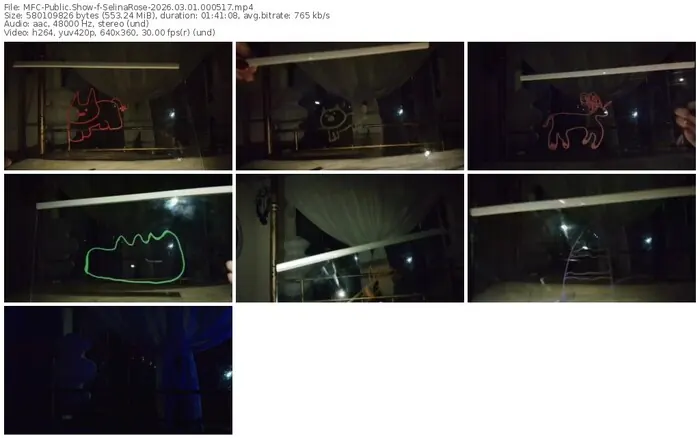 2026/03/01/mfc-selinarose-00-05-17