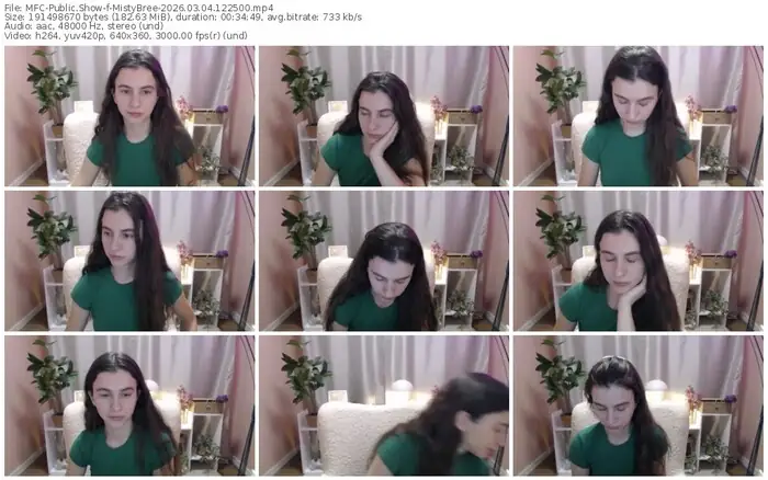 2026/03/04/mfc-mistybree-12-25-00