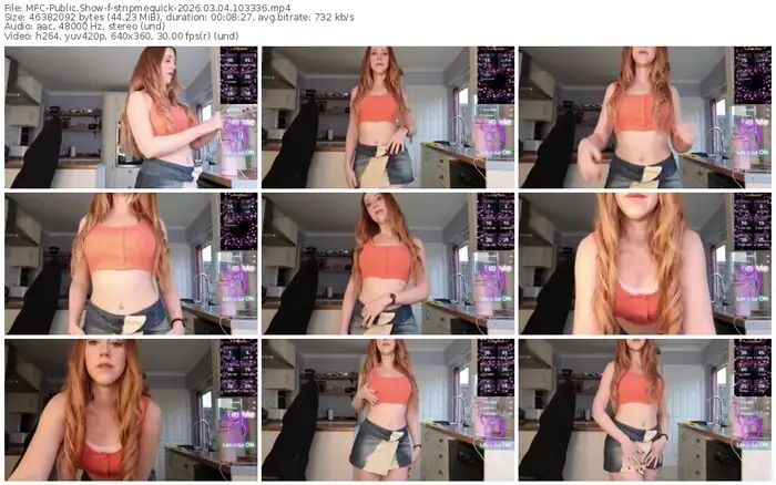 2026/03/04/mfc-stripmequick-10-33-36