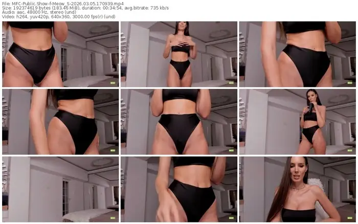 2026/03/05/mfc-meow_s-17-09-39