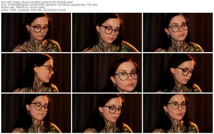 2026/03/06/mfc-acidpie-02-46-42