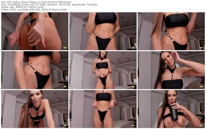 2026/03/06/mfc-meow_s-17-46-04