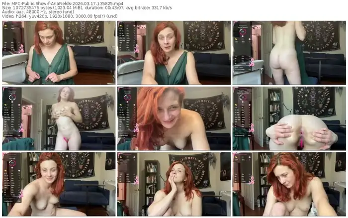 2026/03/17/mfc-ariafields-13-58-25