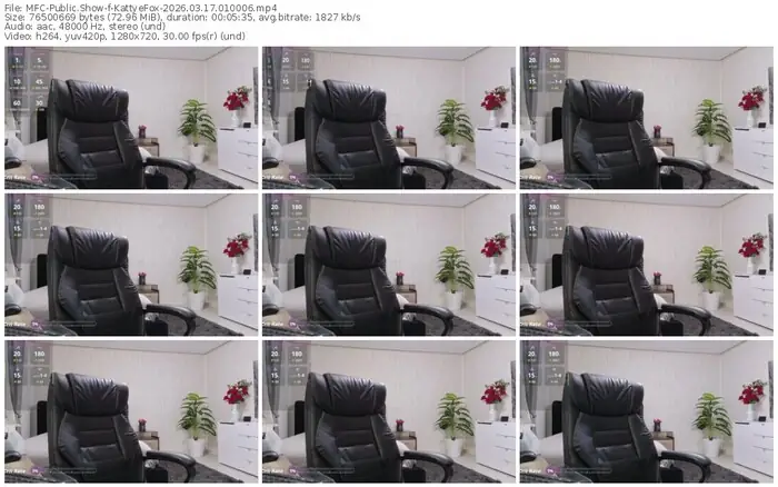 2026/03/17/mfc-kattyefox-01-00-06