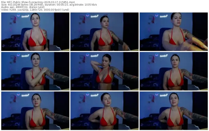 2026/03/17/mfc-loraxgrey-11-58-51