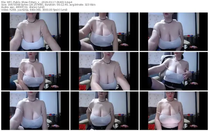 2026/03/17/mfc-mary_x_-06-40-13