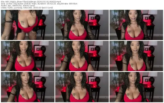 2026/03/19/mfc-torigoldman-19-06-33