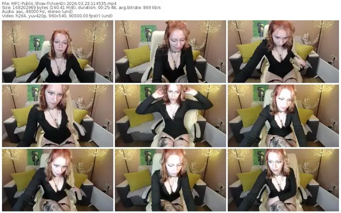 2026/03/23/mfc-vixendi-11-45-35