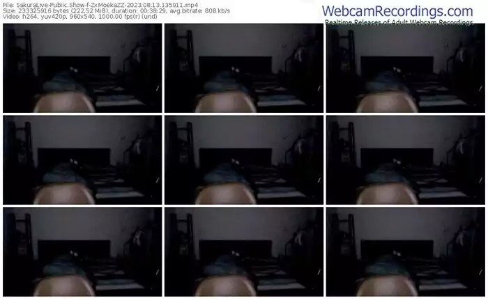 2023/08/13/sakuralivejp-zxmoekazz-13-59-11