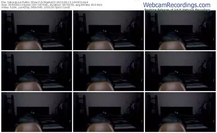 2023/08/13/sakuralivejp-zxmoekazz-14-43-03