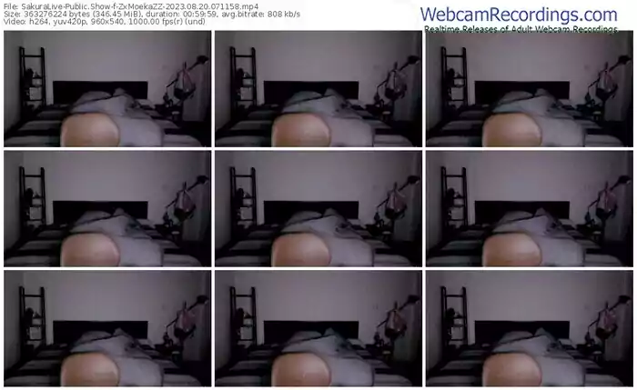 2023/08/20/sakuralivejp-zxmoekazz-07-11-58