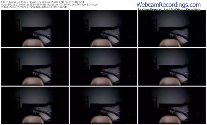 2023/08/20/sakuralivejp-zxmoekazz-23-31-48