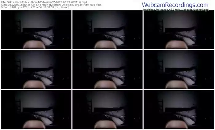 2023/08/21/sakuralivejp-zxmoekazz-01-51-16