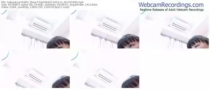 2023/11/29/sakuralivejp-sachika22-02-34-45