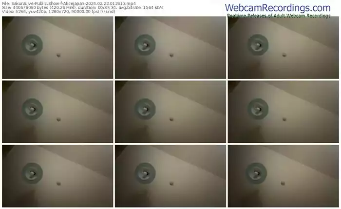 2024/02/22/sakuralivejp-alicejapan-01-26-13