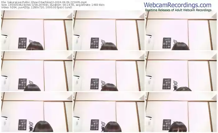 2024/04/09/sakuralivejp-sachika22-21-56-05