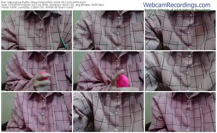 2024/05/13/sakuralivejp-haru0502-01-04-09