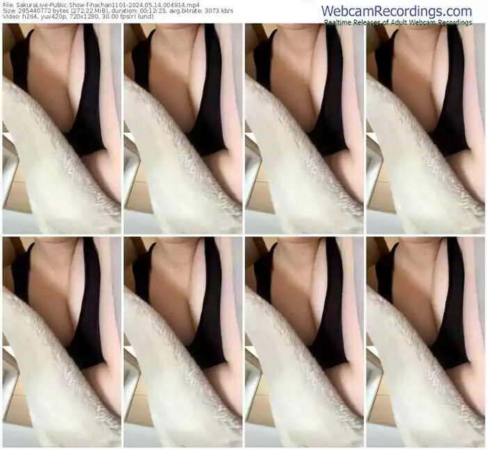 2024/05/14/sakuralivejp-hachan1101-00-49-14