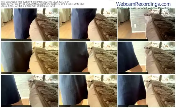 2024/06/11/sakuralivejp-akitonton-05-40-31