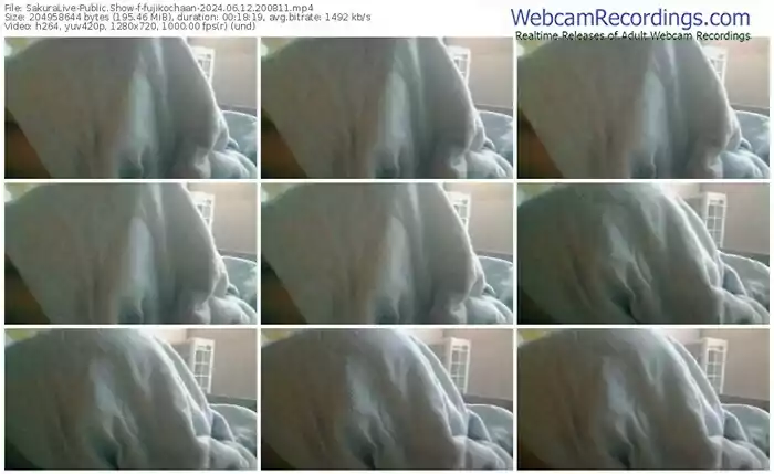 2024/06/12/sakuralivejp-fujikochaan-20-08-11