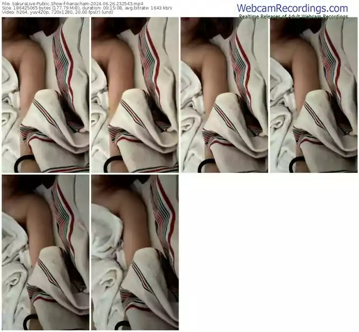 2024/06/26/sakuralivejp-hanacham-23-25-43