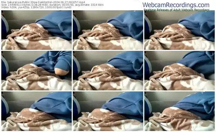 2024/06/27/sakuralivejp-akitonton-06-32-57