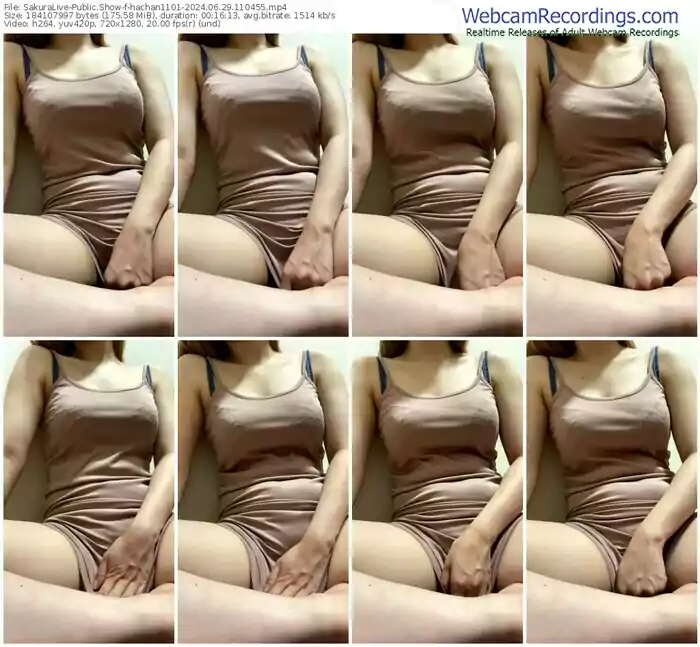 2024/06/29/sakuralivejp-hachan1101-11-04-55