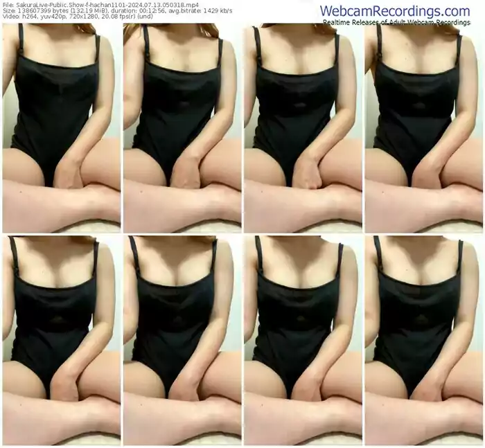 2024/07/13/sakuralivejp-hachan1101-05-03-18