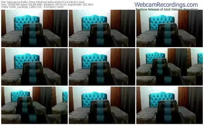 2024/07/14/sakuralivejp-biancacastle-04-13-11