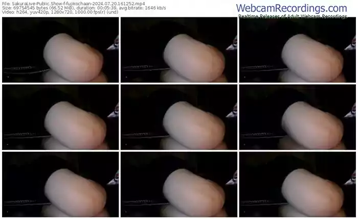 2024/07/20/sakuralivejp-fujikochaan-16-12-52