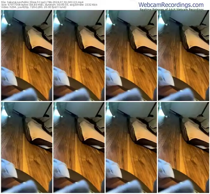 2024/07/30/sakuralivejp-coa1178a-04-11-22