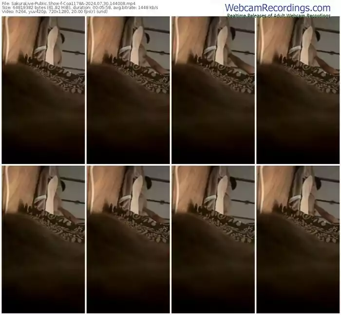 2024/07/30/sakuralivejp-coa1178a-14-40-08