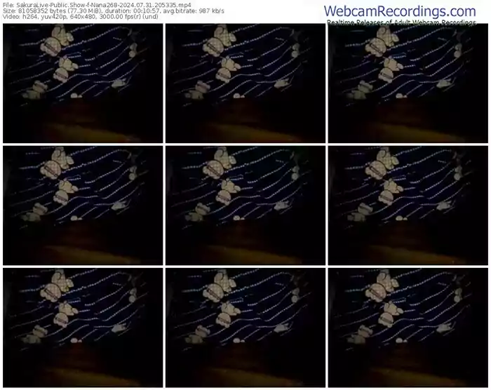 2024/07/31/sakuralivejp-nana268-20-53-35